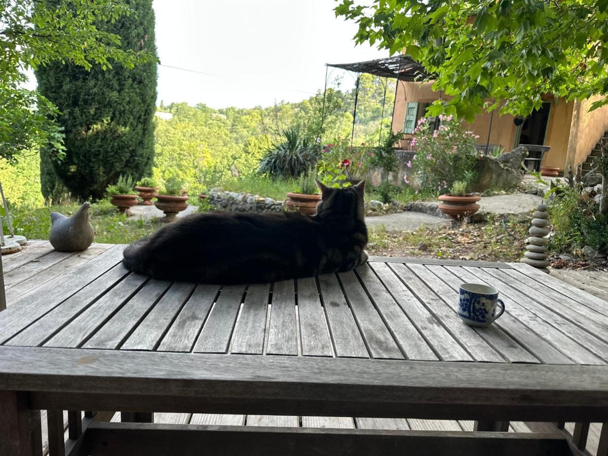 Domaine D'Angouire Otel Moustiers-Sainte-Marie Dış mekan fotoğraf