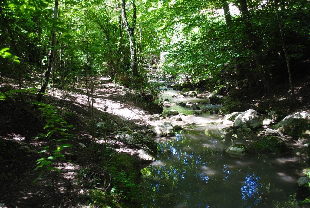 Domaine D'Angouire Otel Moustiers-Sainte-Marie Dış mekan fotoğraf
