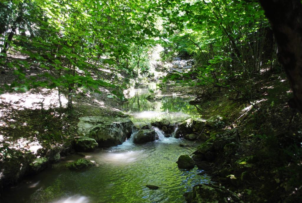 Domaine D'Angouire Otel Moustiers-Sainte-Marie Dış mekan fotoğraf