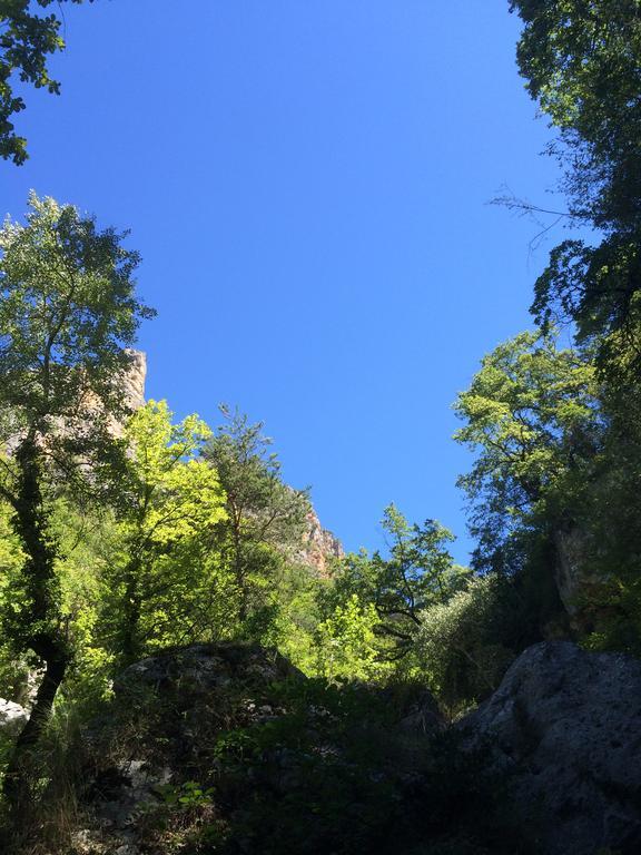 Domaine D'Angouire Otel Moustiers-Sainte-Marie Dış mekan fotoğraf